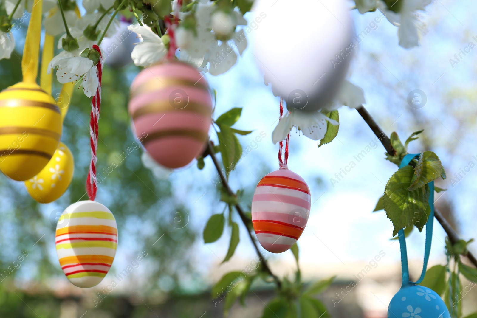 Photo of Beautifully painted Easter eggs hanging on blooming tree outdoors, closeup