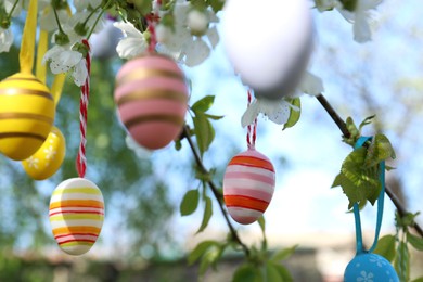 Beautifully painted Easter eggs hanging on blooming tree outdoors, closeup