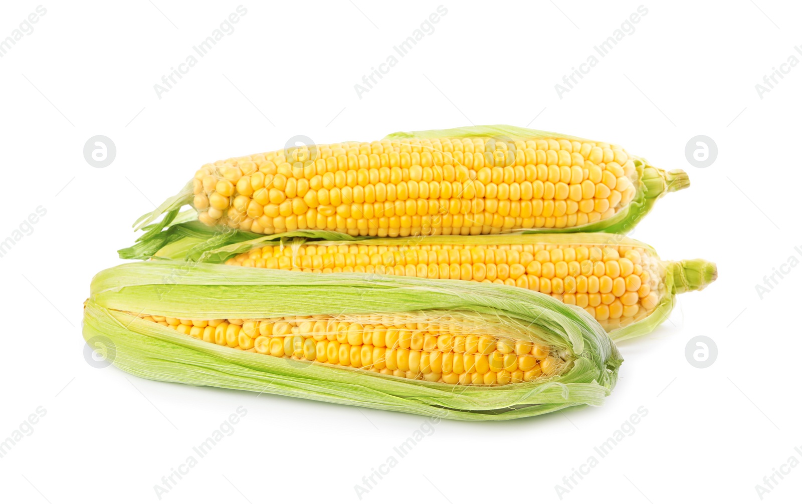 Photo of Ripe raw corn cobs with husk on white background