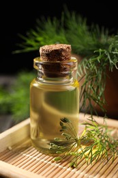 Photo of Bottle of essential oil and fresh dill on wooden tray, closeup