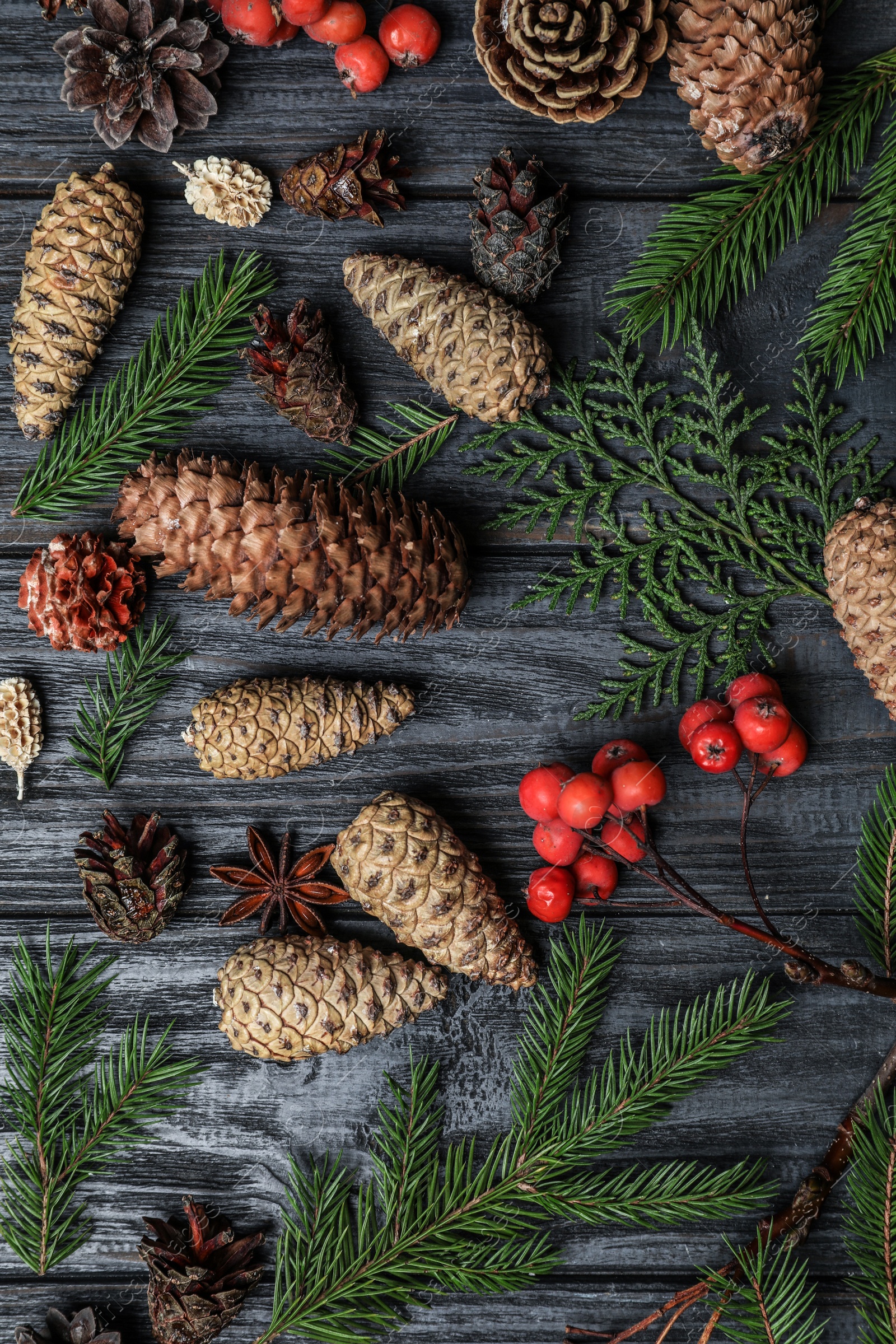 Photo of Flat lay composition with pinecones on black wooden background