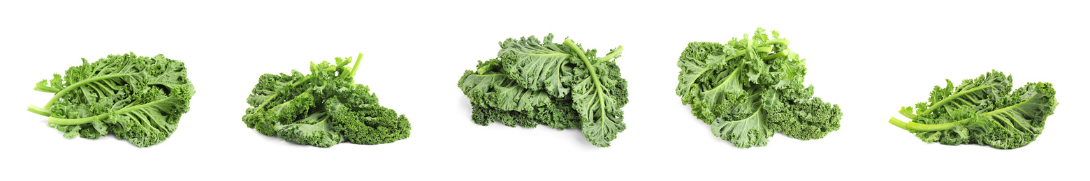 Image of Set of fresh green kale leaves on white background. Banner design 