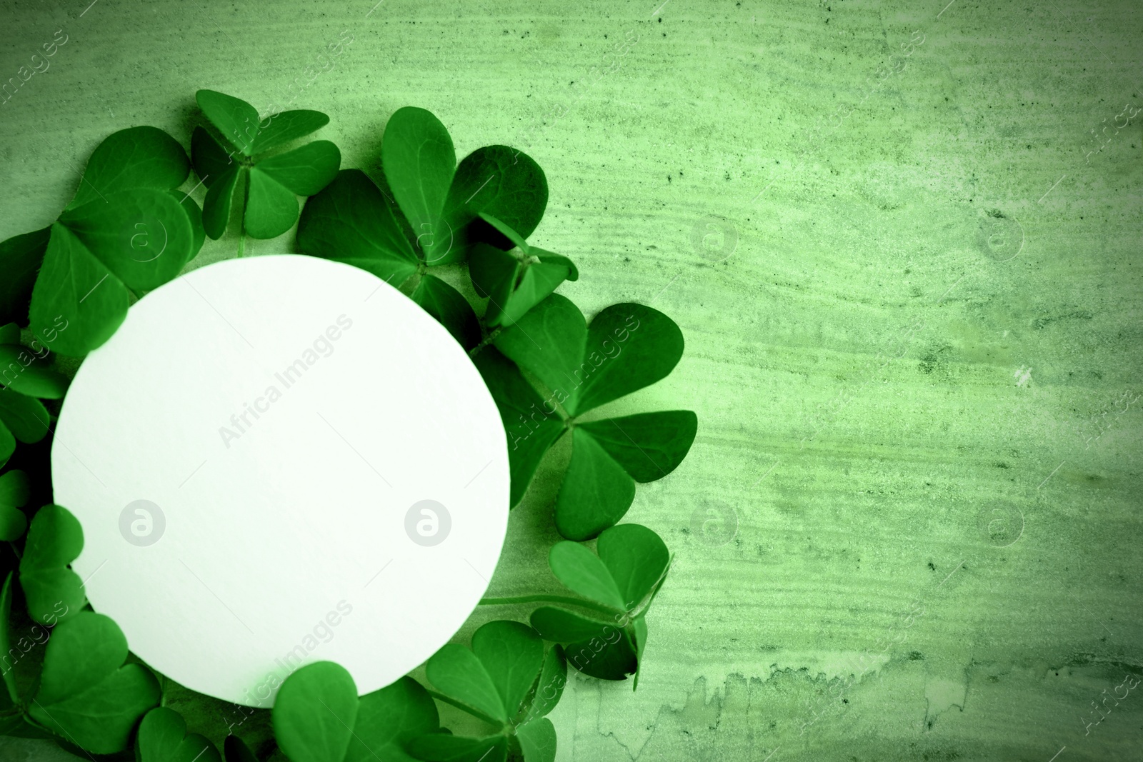 Image of Frame of clover leaves and blank card on light green table, flat lay with space for text. St. Patrick's Day celebration