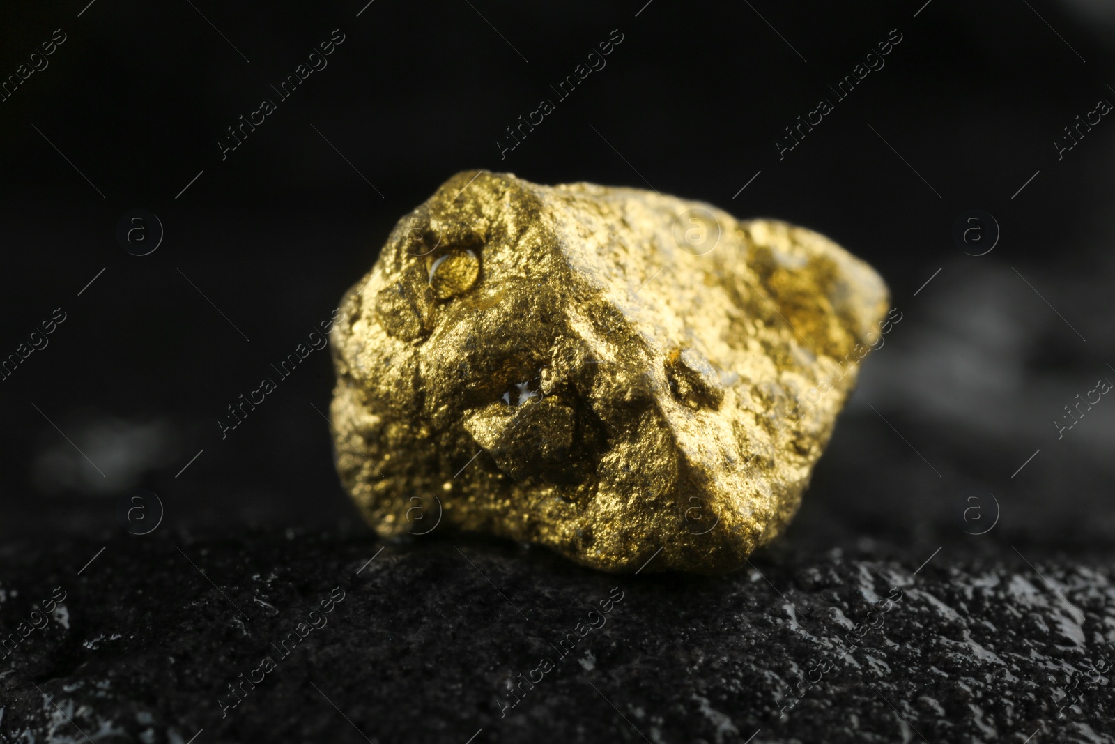 Photo of Shiny gold nugget on wet stone, closeup