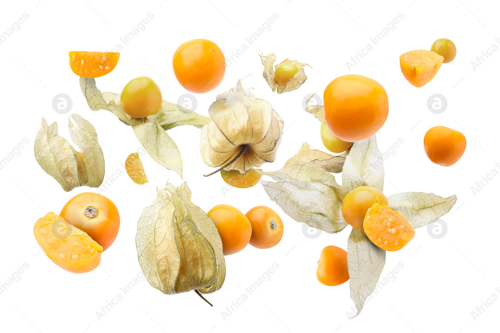 Image of Ripe orange physalis fruits with calyx falling on white background