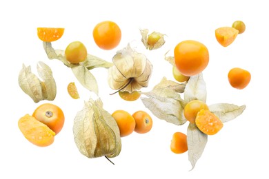 Ripe orange physalis fruits with calyx falling on white background