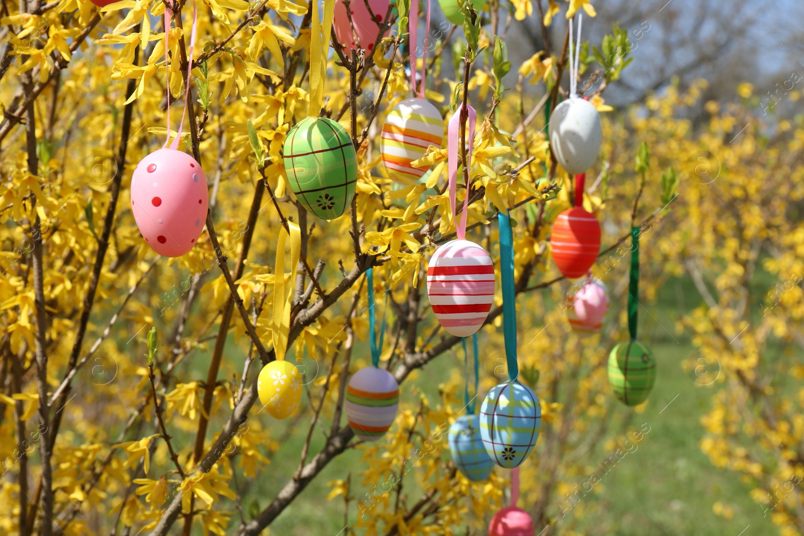 Photo of Beautifully painted Easter eggs hanging on tree outdoors, closeup