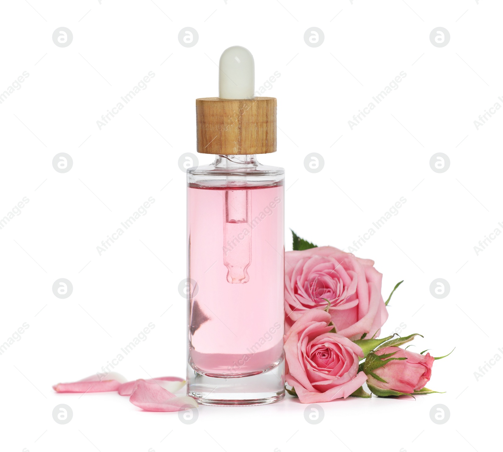 Photo of Bottle of essential rose oil and flowers on white background