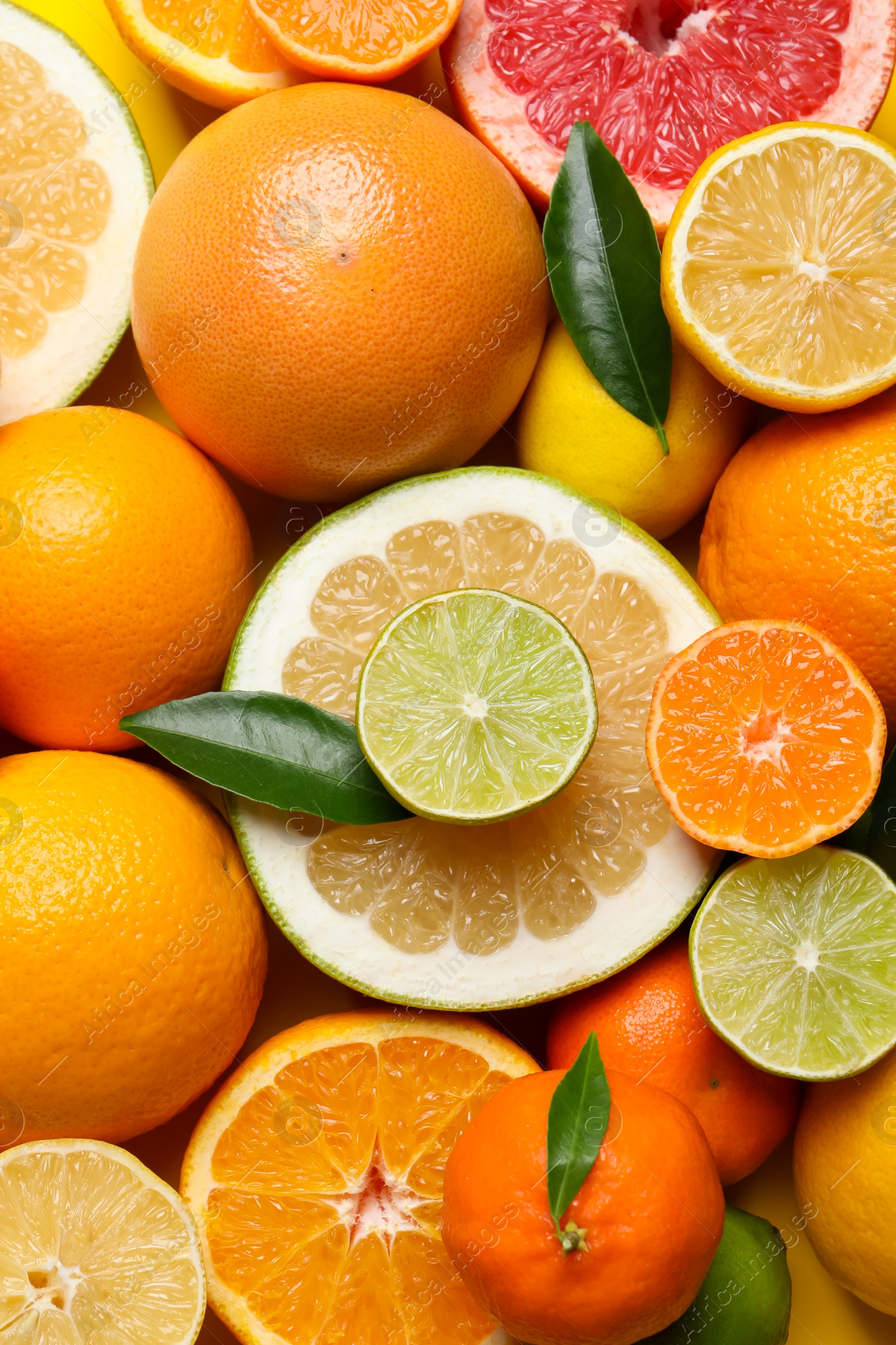 Photo of Different ripe citrus fruits with green leaves as background, top view