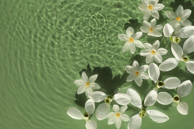 Photo of Beautiful flowers in water on green background, top view. Space for text