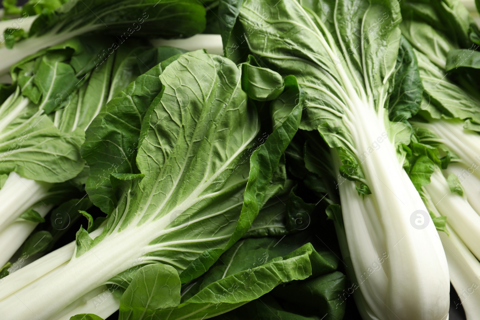 Photo of Fresh green pak choy cabbages as background, closeup