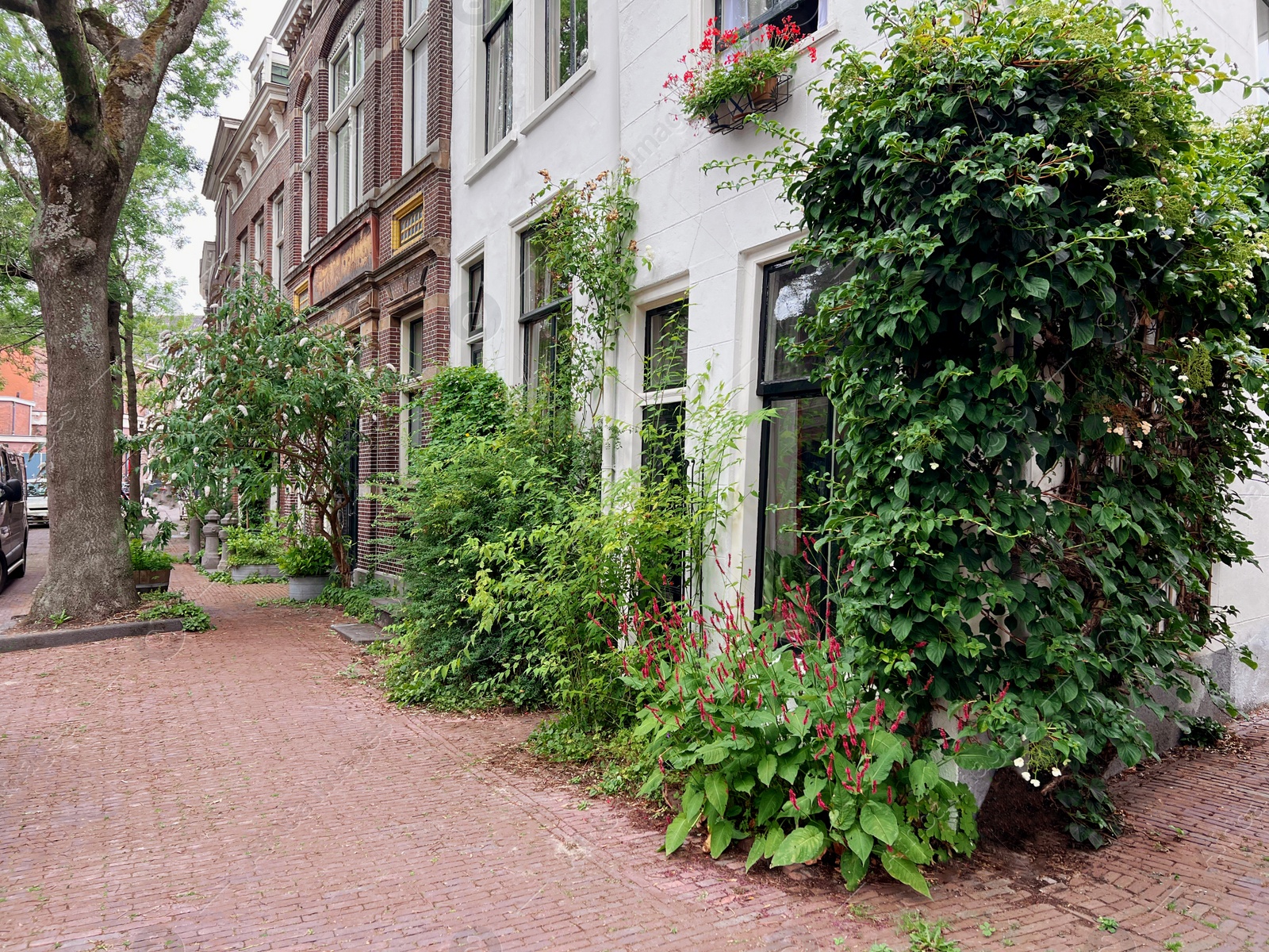 Photo of Beautiful view of city street with buildings and plants on sunny day