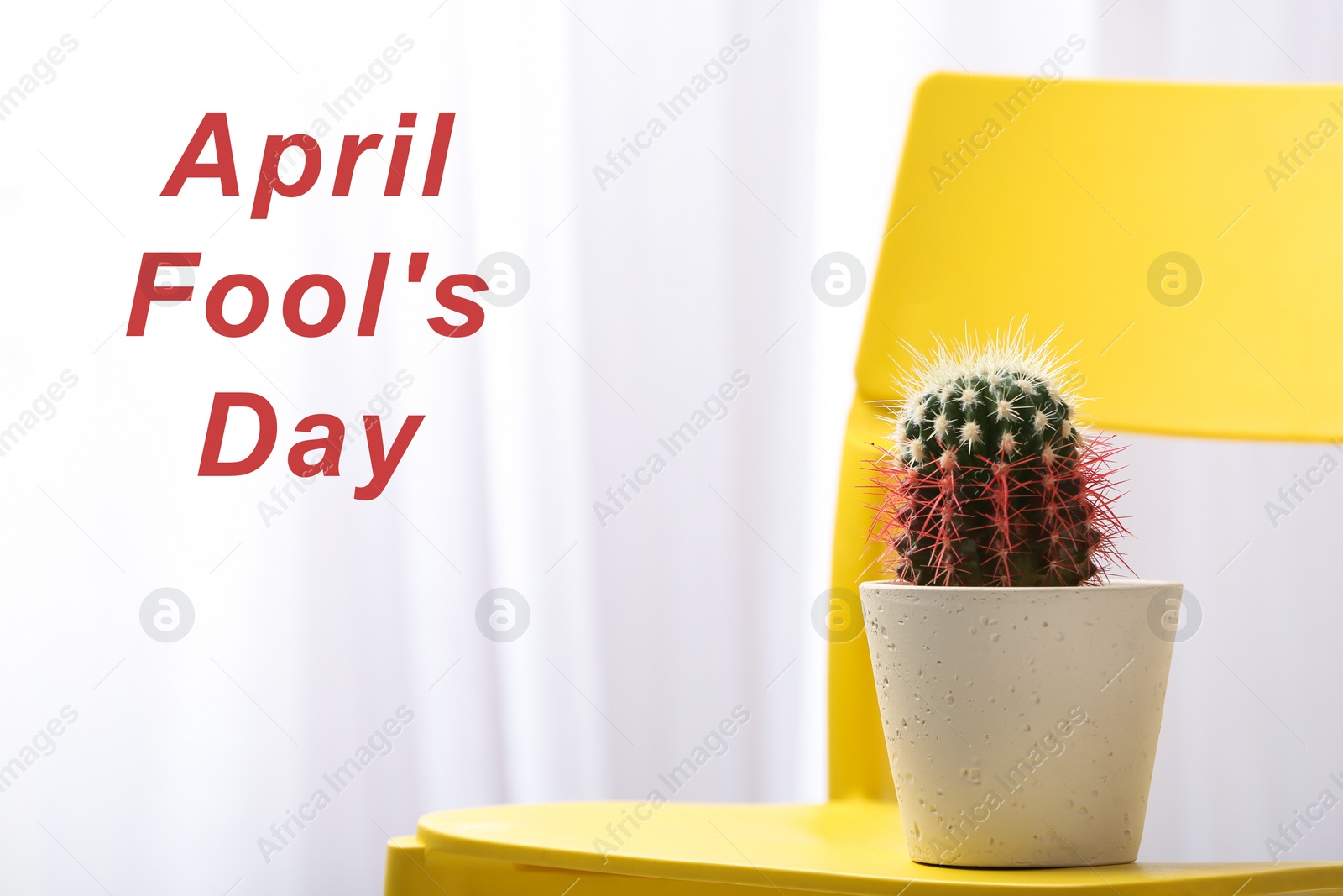 Photo of Cactus on yellow chair against light background, space for text. April Fool's Day