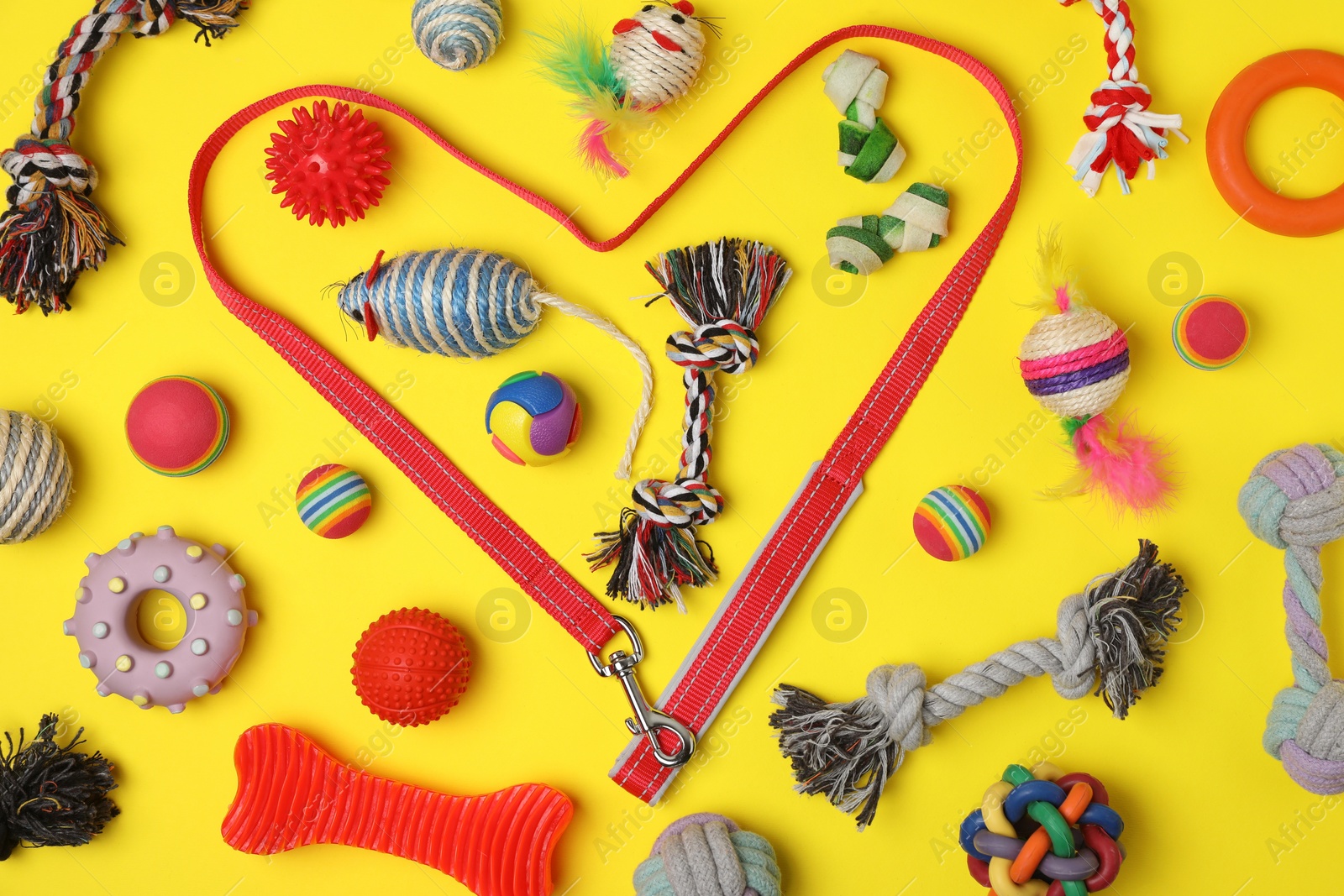 Photo of Flat lay composition with pet leash and toys on yellow background