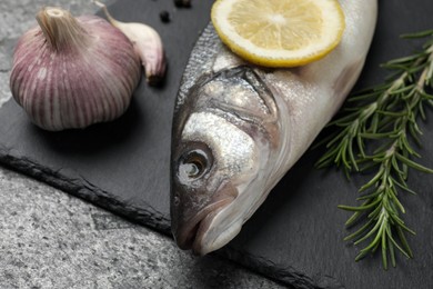 Sea bass fish and ingredients on grey table, closeup