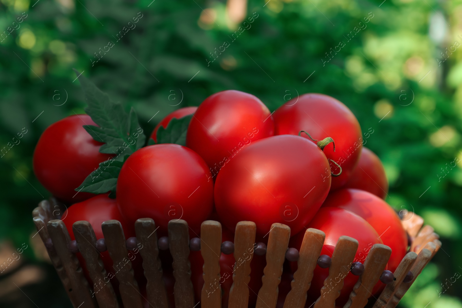 Photo of Bowl with fresh tomatoes on blurred background, closeup