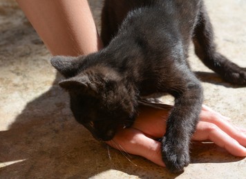 Photo of Woman playing with black kitten outdoors, closeup. Space for text