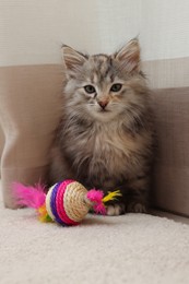 Photo of Cute fluffy kitten with toy near curtain at home