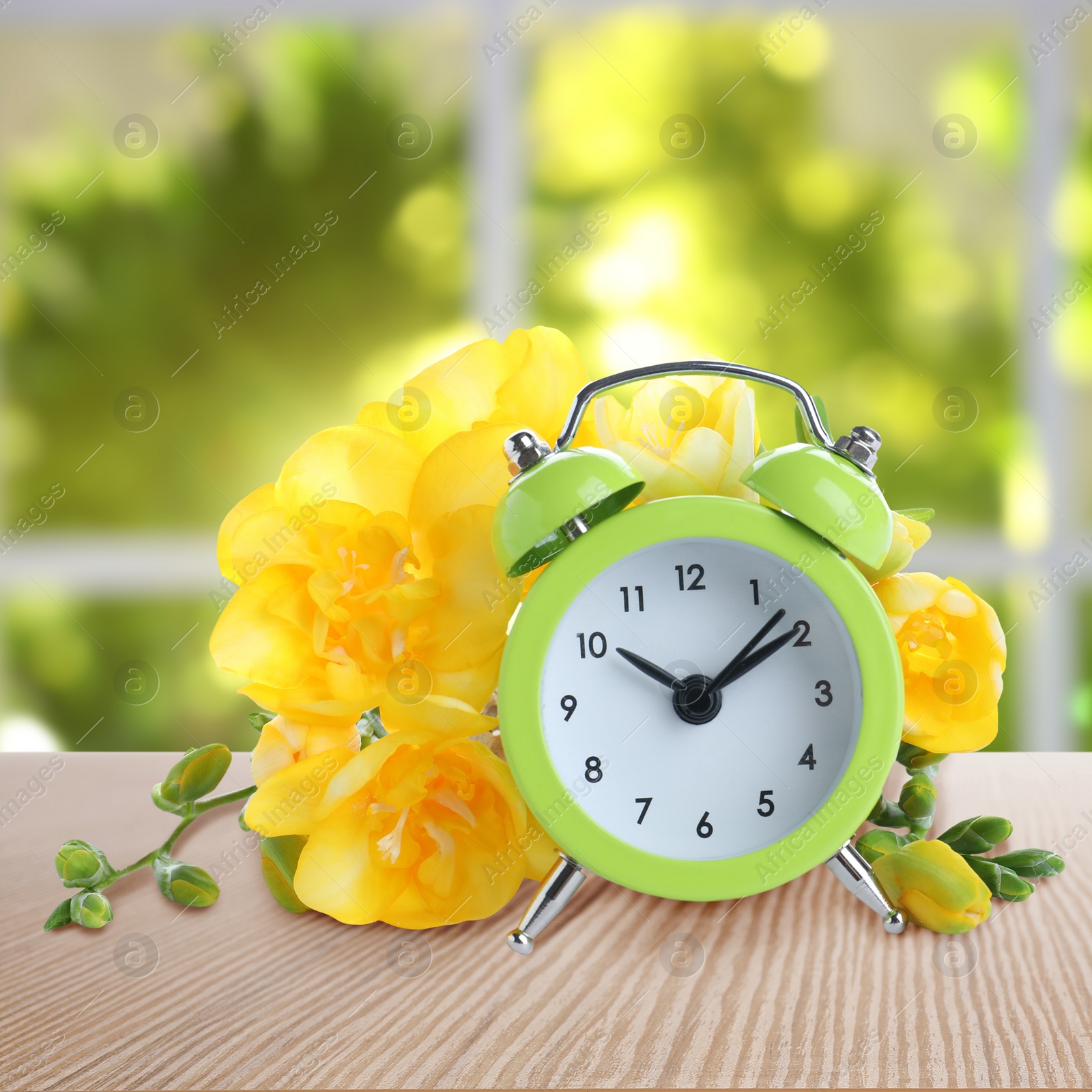 Image of Alarm clock and flowers on table against blurred background. Spring time