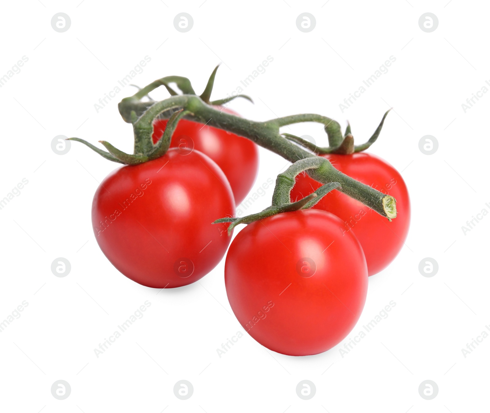 Photo of Branch of red ripe cherry tomatoes isolated on white