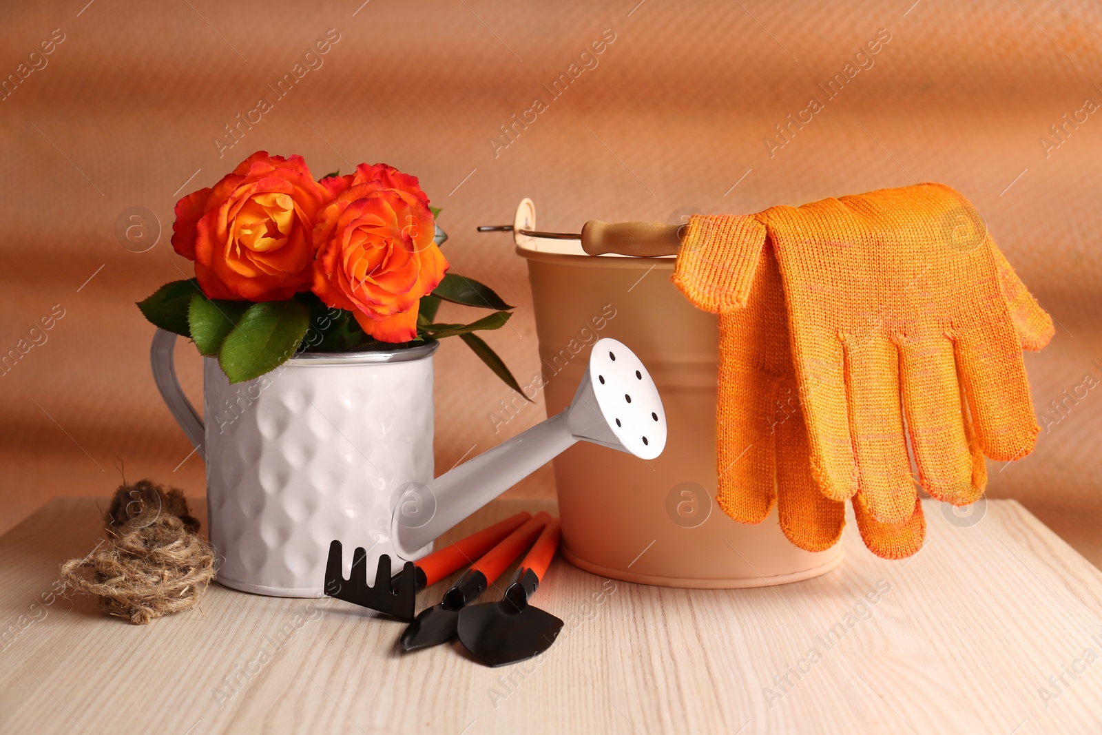 Photo of Watering can with beautiful roses, gardening gloves and tools on white wooden table