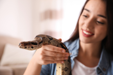 Photo of Young woman with her boa constrictor at home. Exotic pet