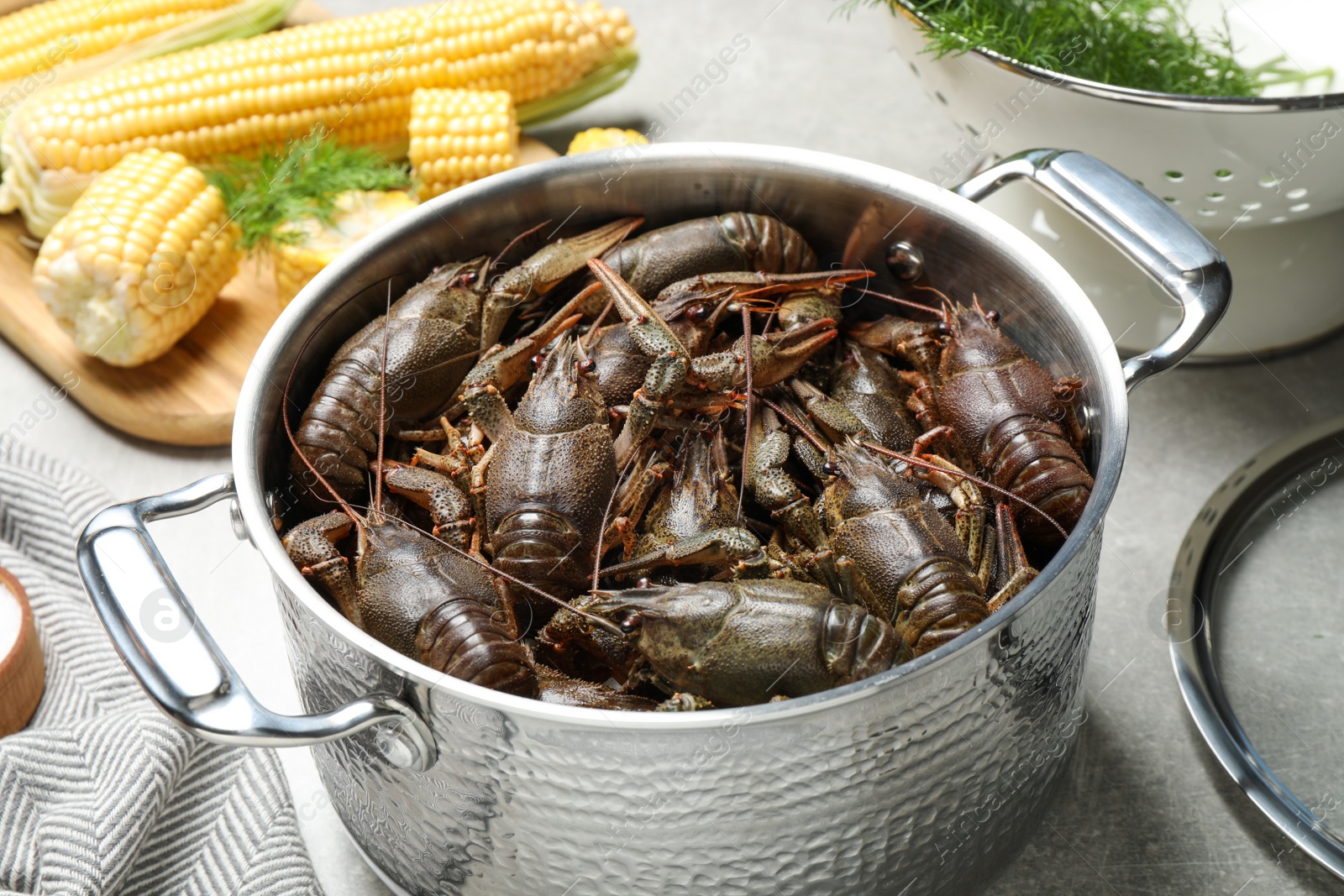 Photo of Fresh raw crayfishes in pot on grey table