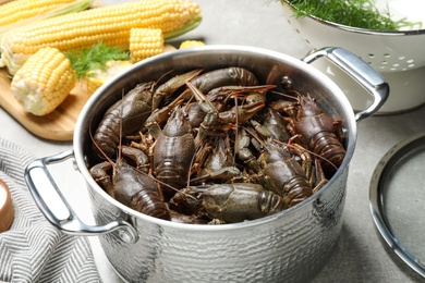 Fresh raw crayfishes in pot on grey table