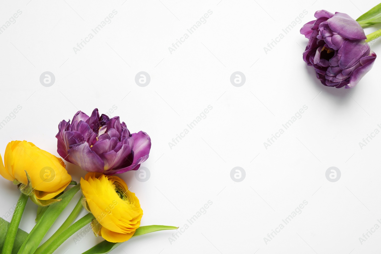 Photo of Composition of beautiful flowers on white background, top view with space for text. Floral card design