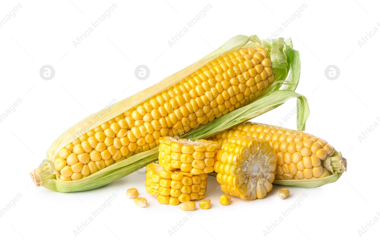 Photo of Ripe raw corn cobs on white background