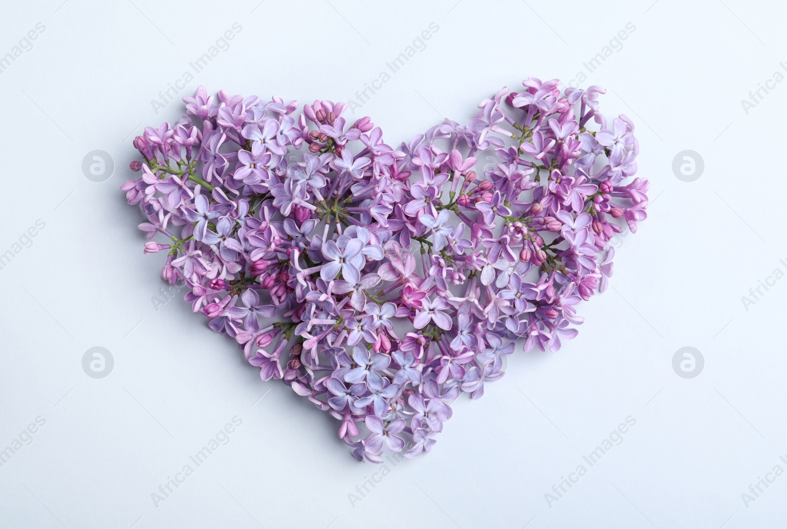 Photo of Heart made of blossoming lilac on light background, flat lay. Spring flowers
