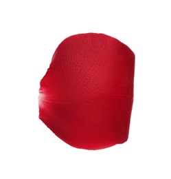 Red rose flower petal on white background