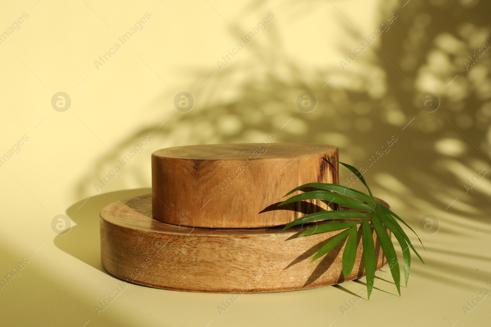 Photo of Presentation of product. Wooden podiums and palm leaf on yellow background. Space for text