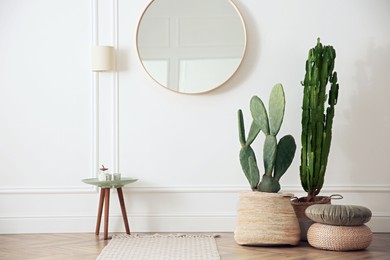 Photo of Stylish room interior with beautiful potted cacti