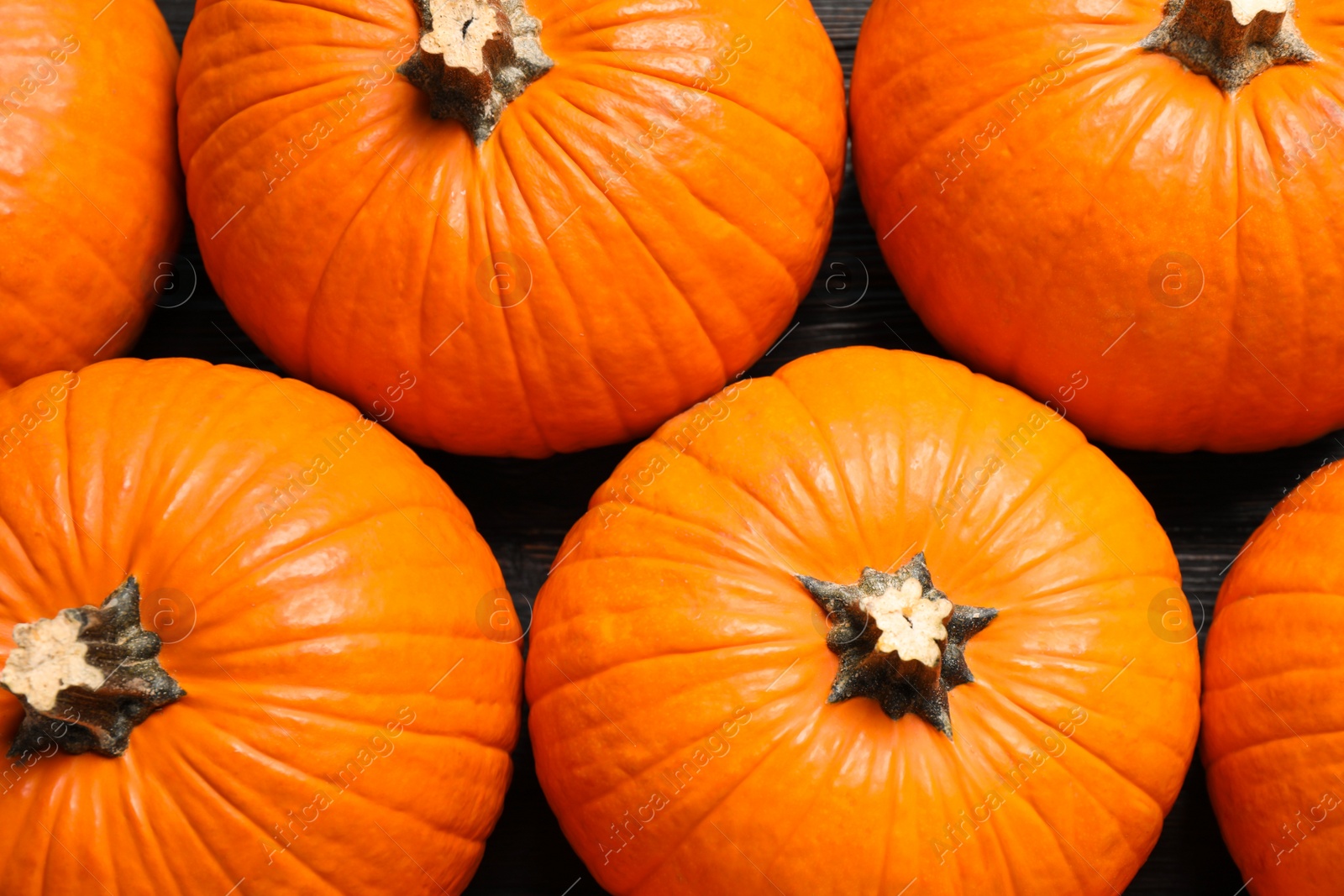 Photo of Many ripe orange pumpkins on table, flat lay