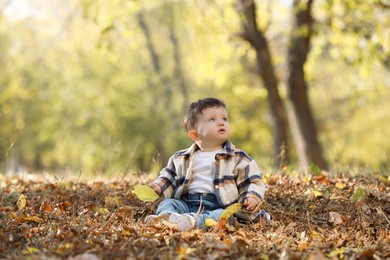 Cute little child on ground with dry leaves in autumn park