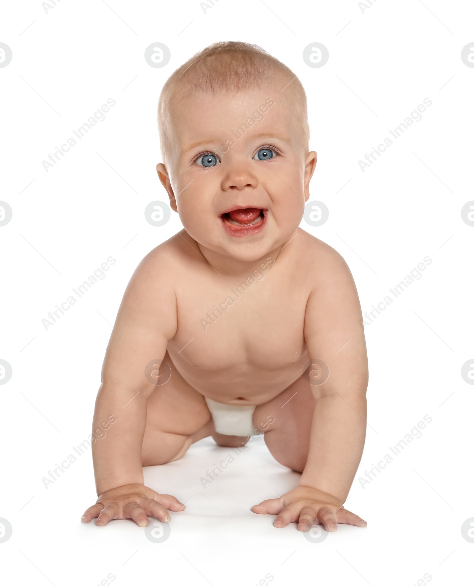 Photo of Cute little baby crawling on white background