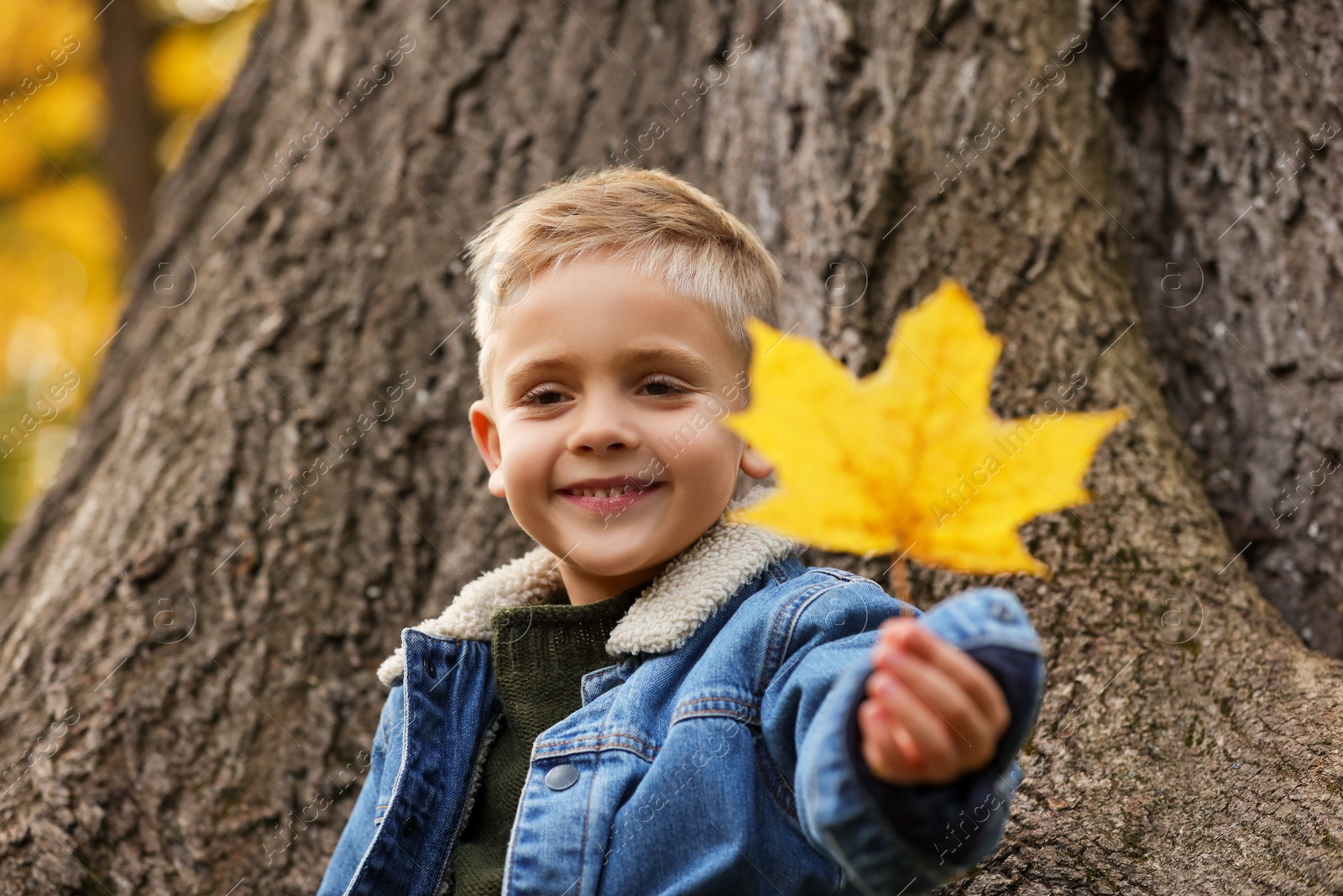 Photo of Portrait of happy boy with autumn dry leaf near tree outdoors