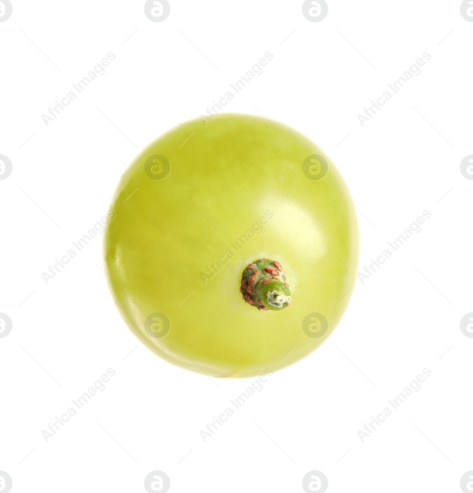 Photo of Delicious ripe green grape isolated on white