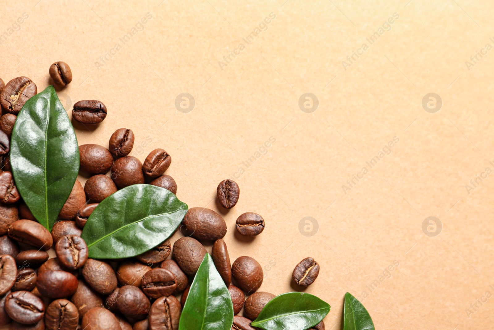 Photo of Fresh green coffee leaves and beans on light orange background, flat lay. Space for text