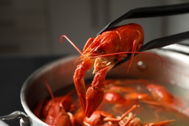 Tongs with fresh delicious crayfish over pot, closeup