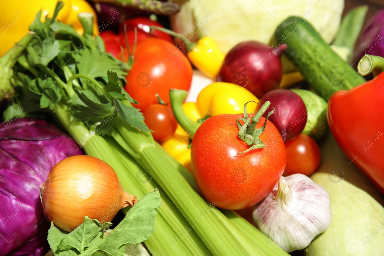 Photo of Many fresh ripe vegetables as background. Organic food