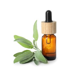 Photo of Bottle of essential oil and sage isolated on white