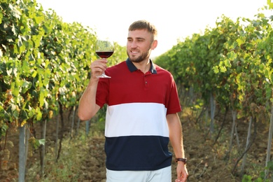 Handsome man enjoying wine at vineyard on sunny day