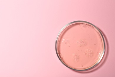 Photo of Petri dish with liquid sample on pink background, top view. Space for text