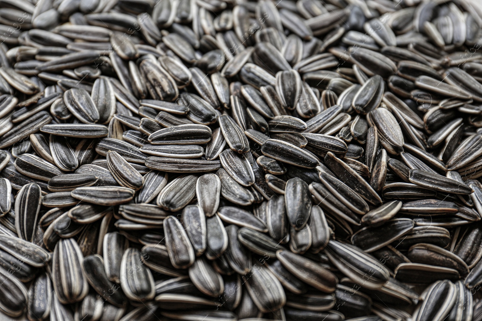 Photo of Pile of sunflower seeds as background, closeup