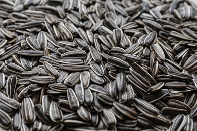 Pile of sunflower seeds as background, closeup