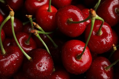 Photo of Ripe sweet cherries with water drops as background, closeup