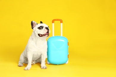 Photo of French bulldog with little suitcase on yellow background. Space for text