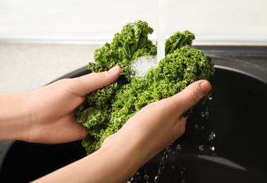 Photo of Woman washing fresh kale leaves over sink, closeup